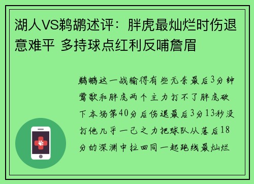 湖人VS鹈鹕述评：胖虎最灿烂时伤退意难平 多持球点红利反哺詹眉